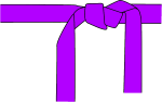 Karate Guertel violett